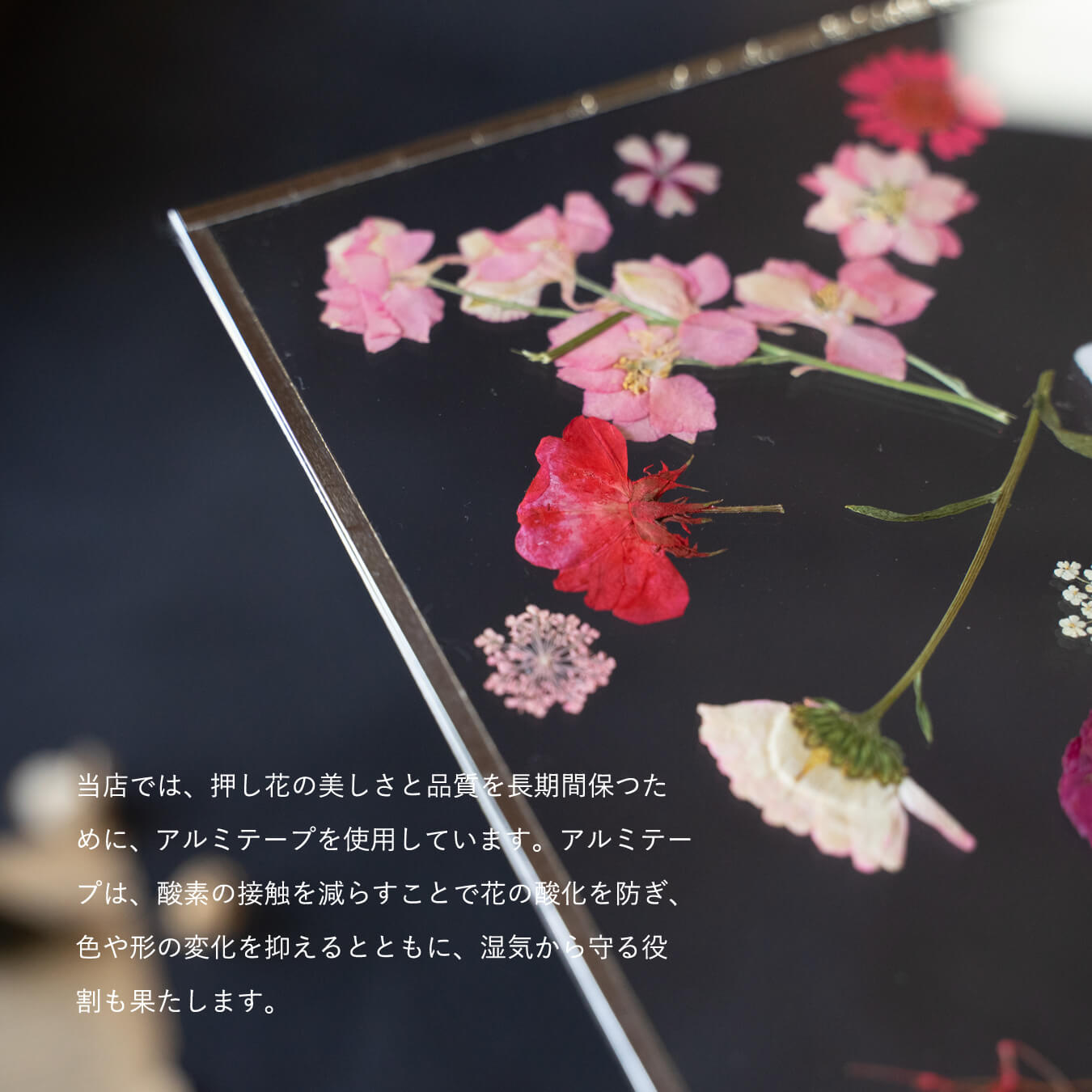 【両親贈呈品】押し花フレーム / 新色追加♪【子育て感謝状・還暦祝い・結婚記念】